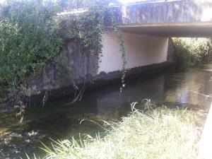 V povprešju se je gladina vode znižala za 50 cm.